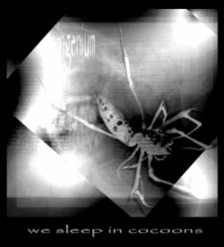 Ingenium (PL) : We Sleep in Cocoons